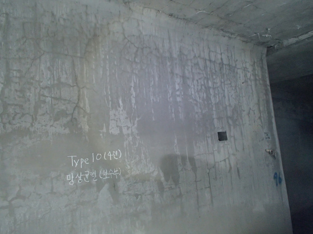 10-4-1(2)보수부망상균열.jpg
